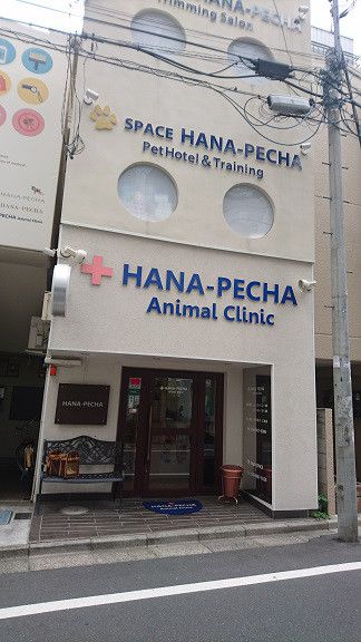 HANA-PECHA Animal Clinic – 老犬ナビ